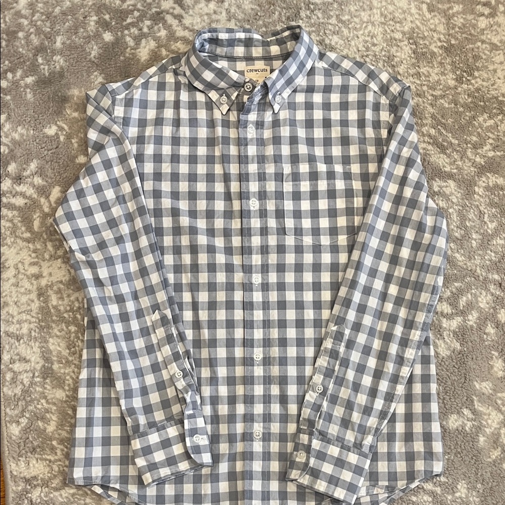 J. Crew Gingham Blue and White Casual Shirt